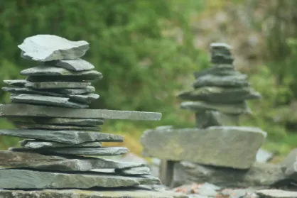 Nature photography demonstrating patience and perfect timing